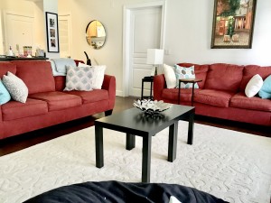 One Bedroom Apartments in Baton Rouge, LA -  Model Living Room (2) 